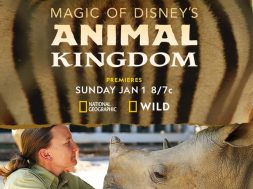 Magic of Disney Animal Kingdom