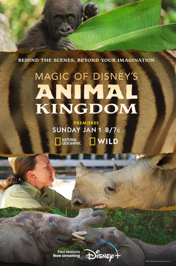 Magic of Disney’s Animal Kingdom Rings in the New Year With an All-New Season With Back-To-Back Episodes on National Geographic and Nat Geo Wild on Jan. 1
