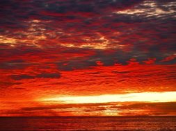 Work of George Evans