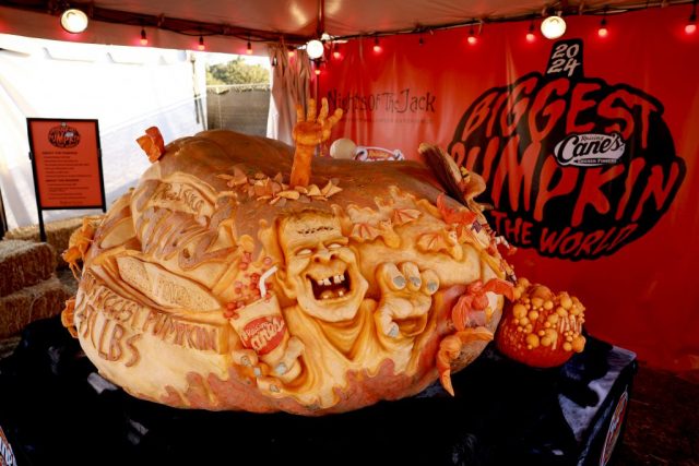 CALABASAS, CALIFORNIA - OCTOBER 30: The world's largest pumpkin is displayed at Raising Cane's unveiling of the world's biggest pumpkin with Todd Graves at Nights of Jack on October 30, 2024 in Calabasas, California.  (Photo by Matt Winkelmeyer/Getty Images for Raising Cane's)