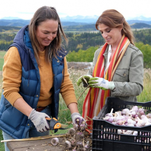 Pati Jinich Explores Panamericana