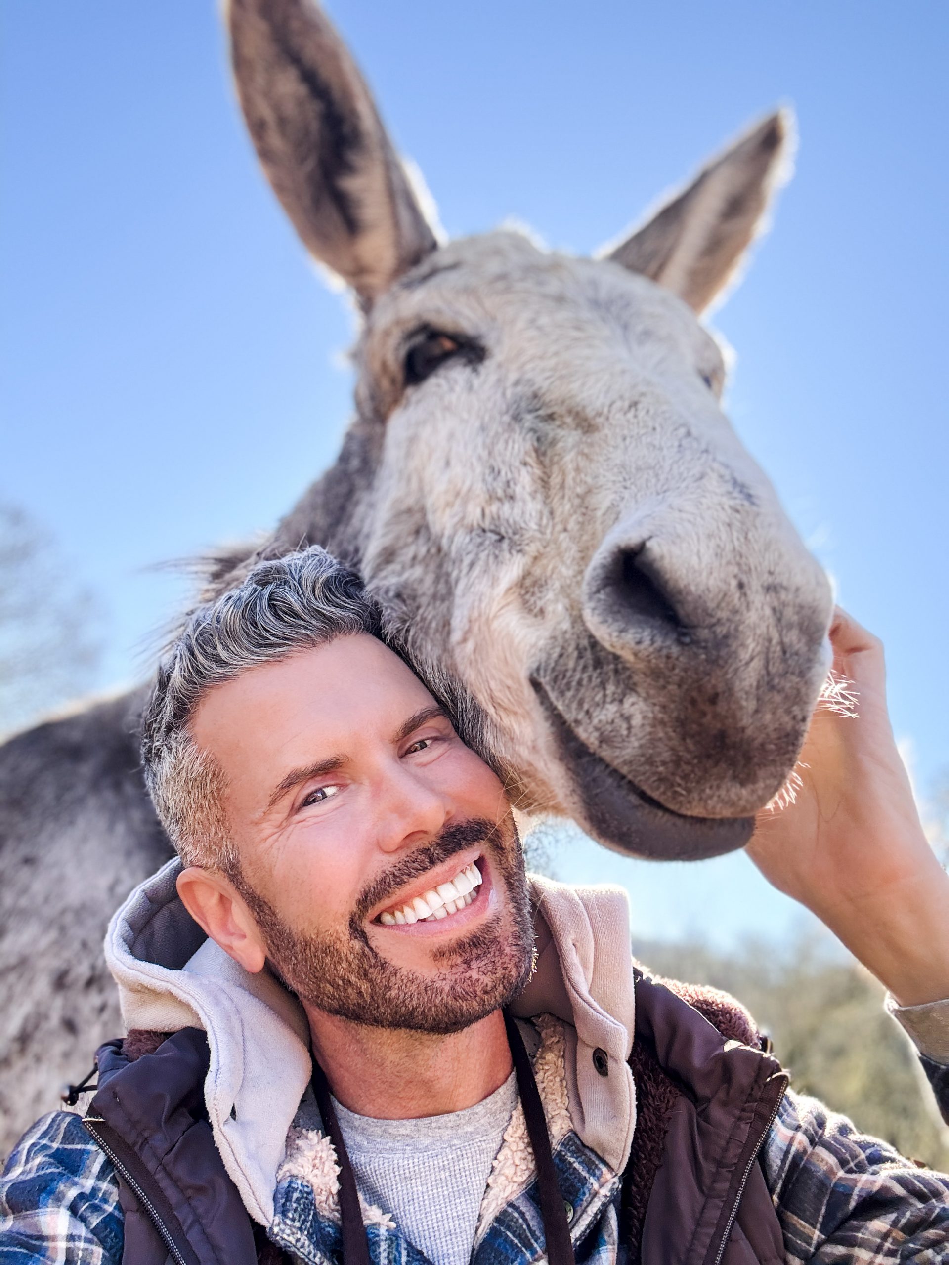 Hearst Media Production Group To Debut Donkey King on ABC Stations Nationwide