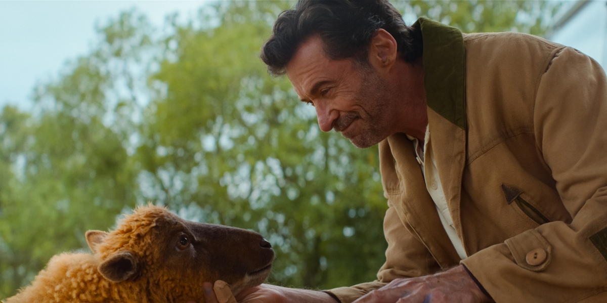 Hugh Jackman/ The Sheep Detectives